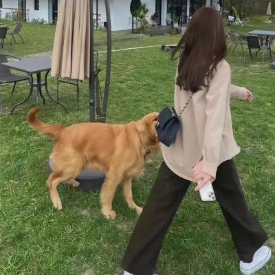 护士小姐